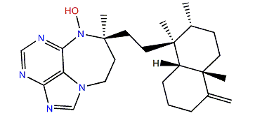 Asmarine B